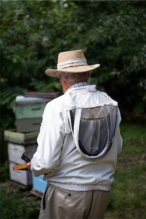 simsearch:659-06153892,k - Rear view of beekeeper holding the beehive in wooden frame at apiary garden Stock Photo - Premium Royalty-Free, Code: 6109-08764269