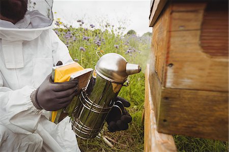 simsearch:6109-08953465,k - Beekeeper using bee smoker in the field Foto de stock - Royalty Free Premium, Número: 6109-08764322