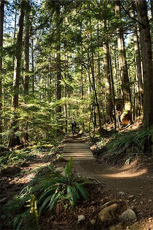 simsearch:6109-08764763,k - Male cyclist cycling in forest on a sunny day Stockbilder - Premium RF Lizenzfrei, Bildnummer: 6109-08764760