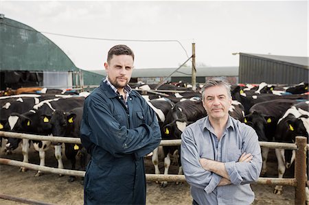 farmer field cows - Portrait of farm workers standing against cattle at barn Stock Photo - Premium Royalty-Free, Code: 6109-08700354