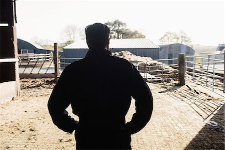 simsearch:6109-08700413,k - Rear view of silhouette man standing with hand on hip in barn Photographie de stock - Premium Libres de Droits, Code: 6109-08700373