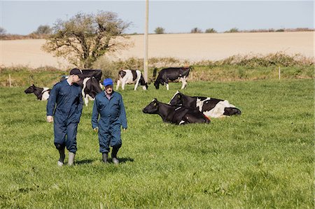 simsearch:6109-08700365,k - Full length of farm workers walking on grassy field Stock Photo - Premium Royalty-Free, Code: 6109-08700397