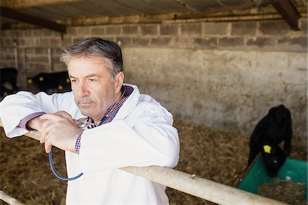 simsearch:6109-08700365,k - Thoughtful vet leaning on fence at barn Stock Photo - Premium Royalty-Free, Code: 6109-08700303