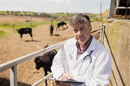 simsearch:6109-08700413,k - Portrait of vet holding clipboard while standing by fence on sunny day Photographie de stock - Premium Libres de Droits, Code: 6109-08700314