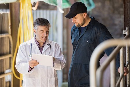 simsearch:6109-08700385,k - Vet and farm worker discussing over digital tablet by fence at barn Stock Photo - Premium Royalty-Free, Code: 6109-08700415