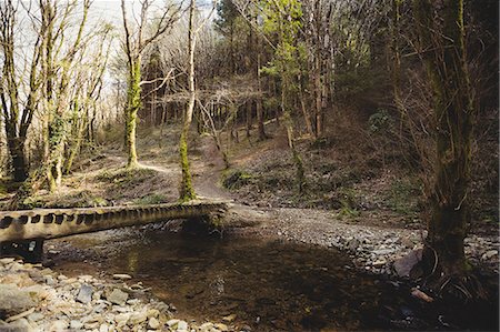 simsearch:862-08699487,k - Footbridge over stream flowing in forest Photographie de stock - Premium Libres de Droits, Code: 6109-08700595