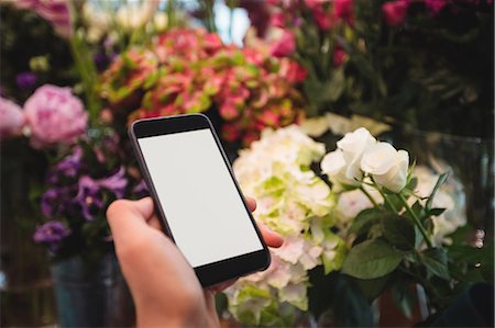 flower shop - Hand of female florist holding mobile phone in the flower shop Foto de stock - Sin royalties Premium, Código: 6109-08700673