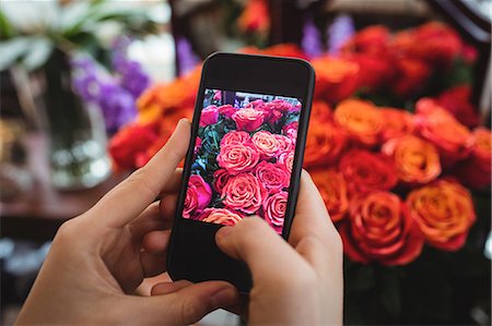 retail store cell phone taking photo - Hands of female florist taking photograph of flowers in the flower shop Stock Photo - Premium Royalty-Free, Code: 6109-08700677