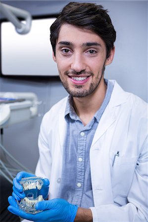 Portrait of dentist studying model of mouth in the clinic Stock Photo - Premium Royalty-Free, Code: 6109-08700924