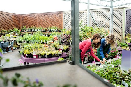 simsearch:6109-08701225,k - Two female florist checking plants in garden centre Stock Photo - Premium Royalty-Free, Code: 6109-08701248