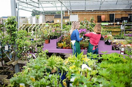 simsearch:6109-08701225,k - Two female florist checking plants in garden centre Stock Photo - Premium Royalty-Free, Code: 6109-08701267