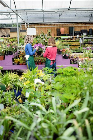 simsearch:6109-08701225,k - Two female florist checking plants in garden centre Stock Photo - Premium Royalty-Free, Code: 6109-08701269
