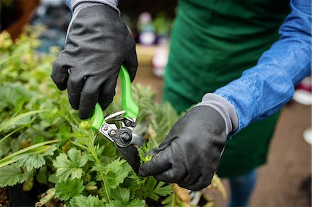 Female florist pruning a plant with pruning shears in garden centre Stock Photo - Premium Royalty-Free, Code: 6109-08701279