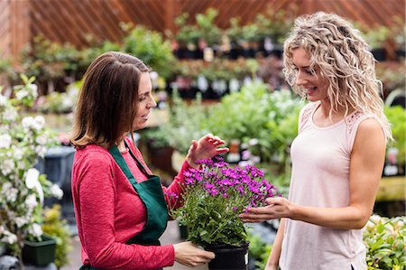 server - Florist showing flowers to woman in garden centre Photographie de stock - Premium Libres de Droits, Code: 6109-08701210