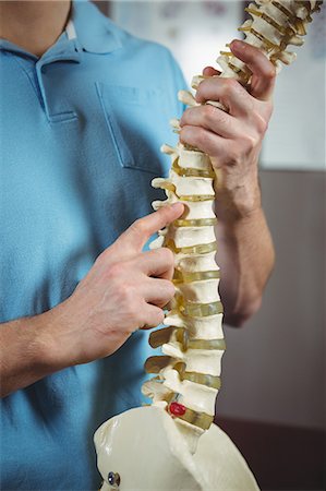 esqueleto - Mid section of physiotherapist pointing at spine model in the clinic Photographie de stock - Premium Libres de Droits, Code: 6109-08701789