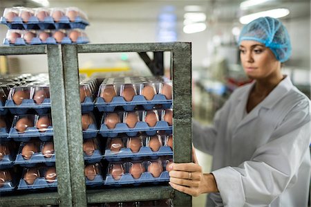 simsearch:841-06447316,k - Female staff examine brown eggs in shelf in egg factory Photographie de stock - Premium Libres de Droits, Code: 6109-08739292