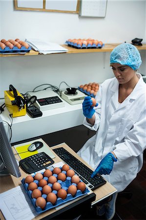 simsearch:649-08118366,k - Attentive female staff examine egg in egg factory Foto de stock - Sin royalties Premium, Código: 6109-08739318