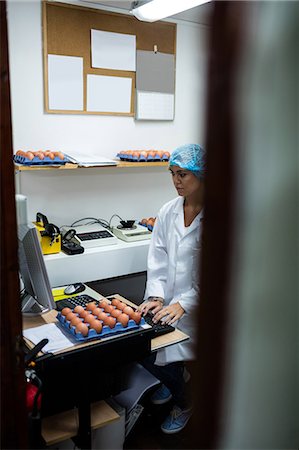 poultry type - Female staff working on desktop computer in egg factory Stock Photo - Premium Royalty-Free, Code: 6109-08739322