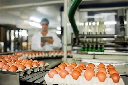 Cartons of eggs moving on the production line in factory Stock Photo - Premium Royalty-Free, Code: 6109-08739406