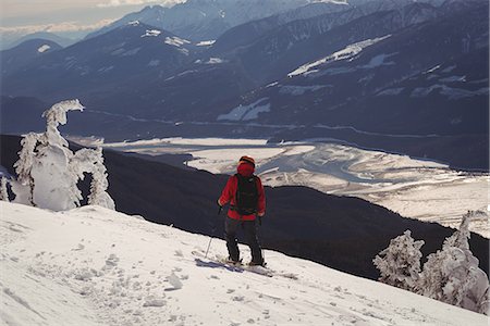 simsearch:6109-06195607,k - Rear view of skier skiing in snowy alps during winter Photographie de stock - Premium Libres de Droits, Code: 6109-08944908