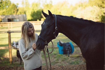 simsearch:614-06044165,k - Woman petting horse in farm on a sunny day Foto de stock - Sin royalties Premium, Código: 6109-08945481