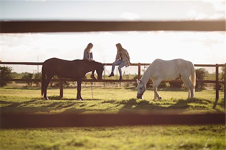 simsearch:400-07168060,k - Friends sitting on wooden fence while horse grazing in farm on a sunny day Stock Photo - Premium Royalty-Free, Code: 6109-08945500
