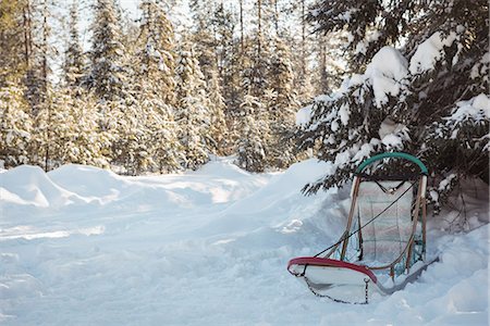 simsearch:6109-08953015,k - Empty sleigh in snow Foto de stock - Sin royalties Premium, Código: 6109-08953018