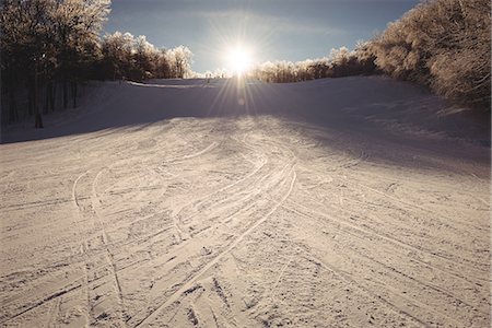 simsearch:6109-06195607,k - Snowy landscape covered with ski tracks Photographie de stock - Premium Libres de Droits, Code: 6109-08953137