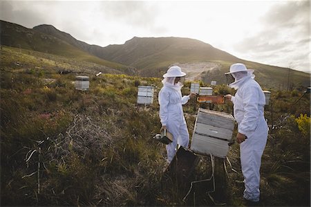 simsearch:6109-08953458,k - Male and female beekeepers examining beehive at apiary Foto de stock - Royalty Free Premium, Número: 6109-08953447