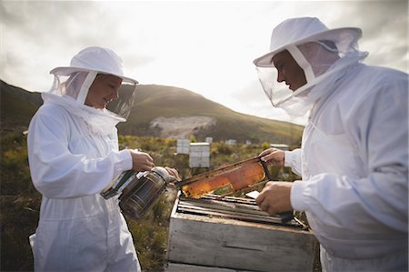 Male and female apiarists working on beehive on field Stock Photo - Premium Royalty-Free, Code: 6109-08953448