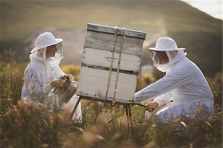 simsearch:614-06043444,k - Side view of male and female beekeepers working on beehive at apiary Photographie de stock - Premium Libres de Droits, Code: 6109-08953452