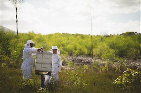 simsearch:6109-08953449,k - Male and female beekeepers working on honeycomb on field Foto de stock - Sin royalties Premium, Código: 6109-08953457