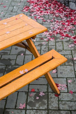 simsearch:841-05795614,k - Empty bench with fallen leaves around it on the sidewalk Stock Photo - Premium Royalty-Free, Code: 6109-08929239