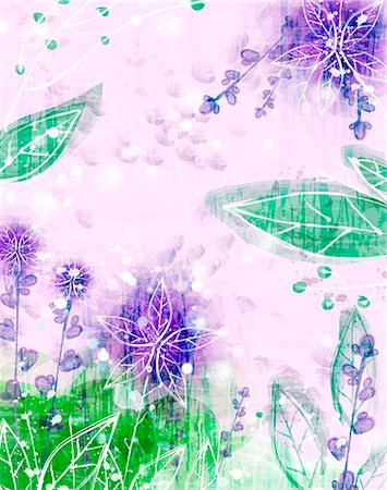 design patterns in flower - Flora Background Stock Photo - Premium Royalty-Free, Code: 6111-06728225