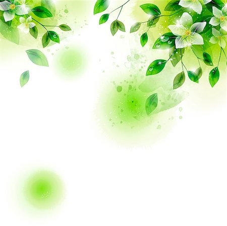 Illustration of beautiful flowers and leaf against white background Photographie de stock - Premium Libres de Droits, Code: 6111-06728350