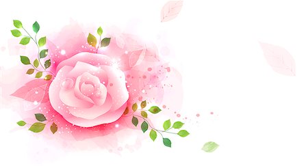 floral - Illustration of abstract pink rose Stock Photo - Premium Royalty-Free, Code: 6111-06728330