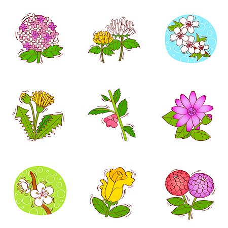 simsearch:6111-06838529,k - Set of various flower icons Stock Photo - Premium Royalty-Free, Code: 6111-06837149