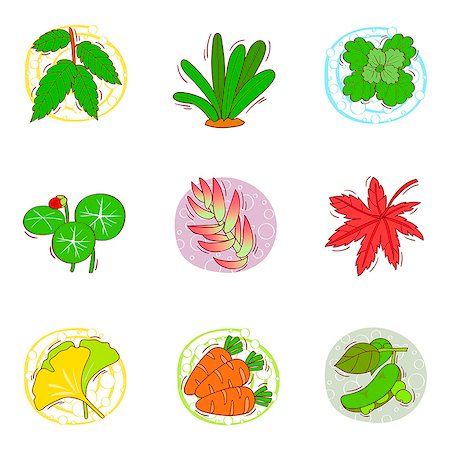 simsearch:6111-06838529,k - Set of various leaf icons Stock Photo - Premium Royalty-Free, Code: 6111-06837159