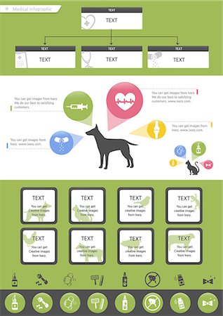 Set of various dog medical infographic Stock Photo - Premium Royalty-Free, Code: 6111-06838664