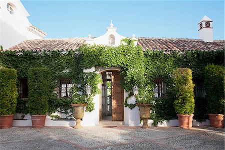 Potted topiaries and ivy surrounding villa entrance Foto de stock - Sin royalties Premium, Código: 6113-06498371