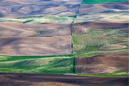 rolling hills washington - Aerial view of fields Stock Photo - Premium Royalty-Free, Code: 6113-06498409