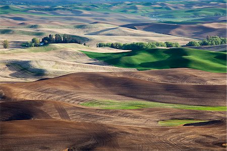 simsearch:6113-06498416,k - Aerial view of rolling landscape Photographie de stock - Premium Libres de Droits, Code: 6113-06498416