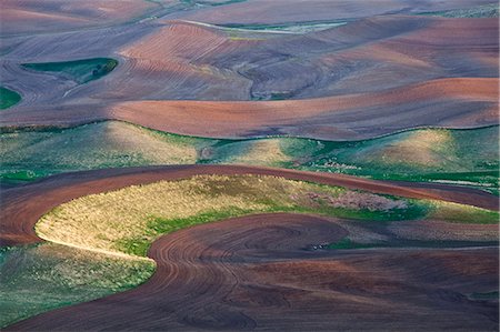palouse - Aerial view of rolling landscape Stock Photo - Premium Royalty-Free, Code: 6113-06498423
