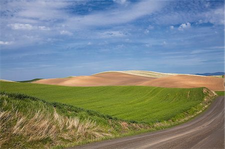 Road along rolling landscape Stock Photo - Premium Royalty-Free, Code: 6113-06498421