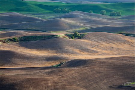 palouse - Aerial view of rolling landscape Photographie de stock - Premium Libres de Droits, Code: 6113-06498425