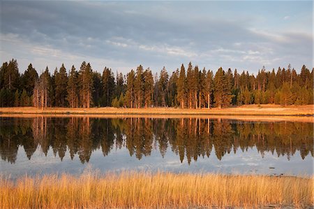 parque nacional yellowstone - Trees reflected in still lake Foto de stock - Sin royalties Premium, Código: 6113-06625499