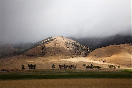 simsearch:6113-06625532,k - Rolling hills in rural landscape Foto de stock - Sin royalties Premium, Código: 6113-06625546