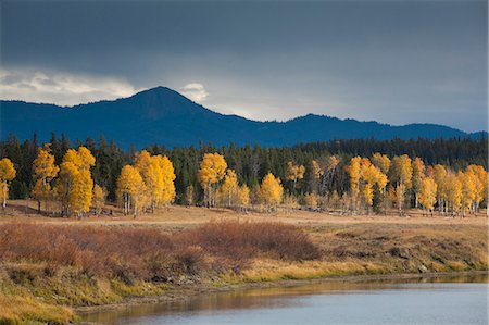 Autumn trees in rural landscape Stockbilder - Premium RF Lizenzfrei, Bildnummer: 6113-06625514