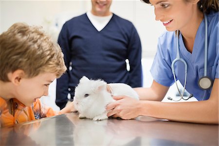 simsearch:6113-06626452,k - Veterinarian and owner examining rabbit in vet's surgery Foto de stock - Royalty Free Premium, Número: 6113-06626458