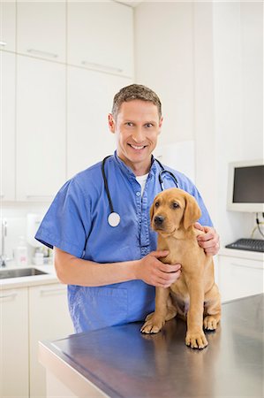 Veterinarian examining dog in vet's surgery Stock Photo - Premium Royalty-Free, Code: 6113-06626459